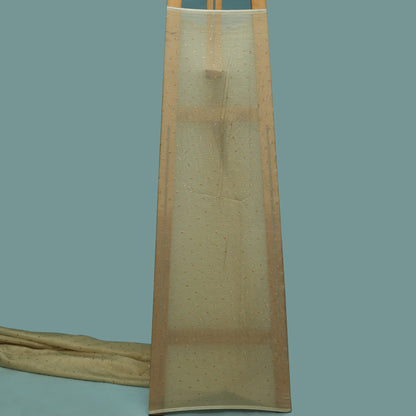 Beige Color Tissue Embroidery Fabric