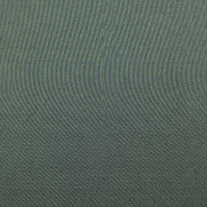 Ash Grey Color Tissue plain Fabric