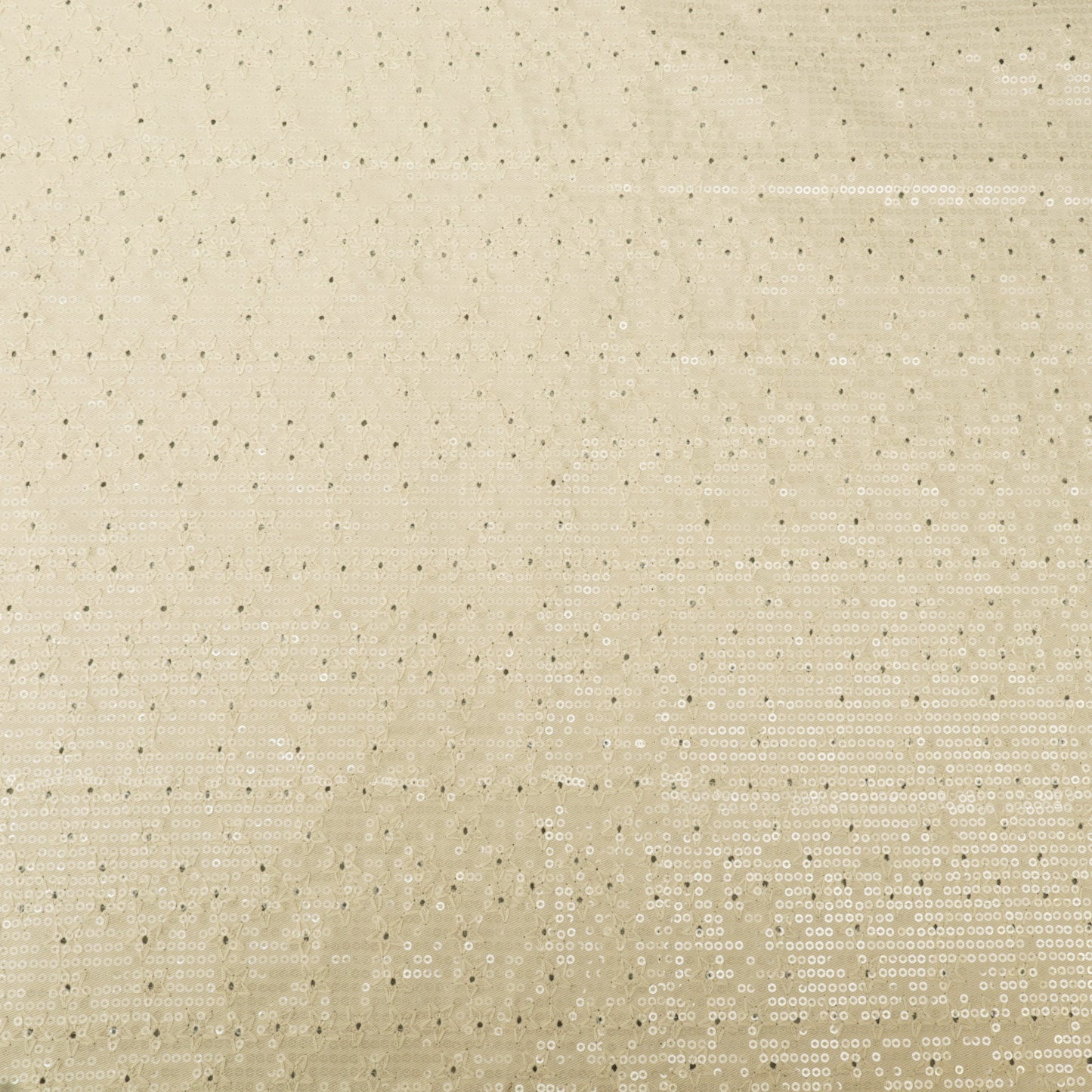 Beige Sequins Denim Embroidery