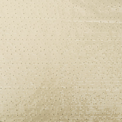 Beige Sequins Denim Embroidery