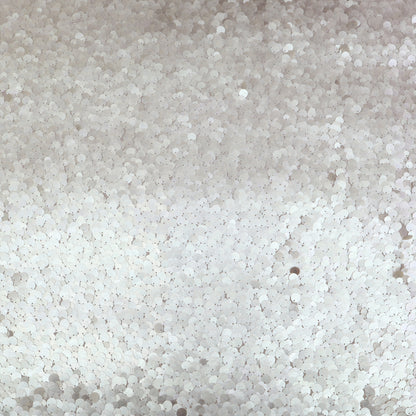Net Sequins Embroidery Fabric