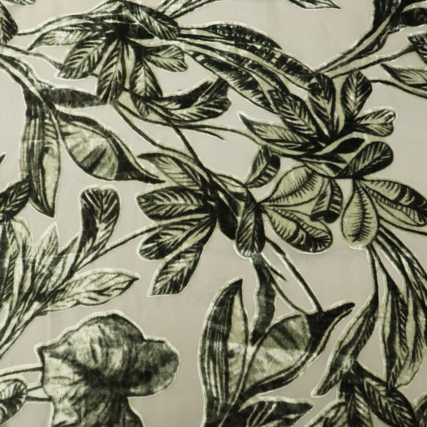 Brasso Velvet Textile Fabric