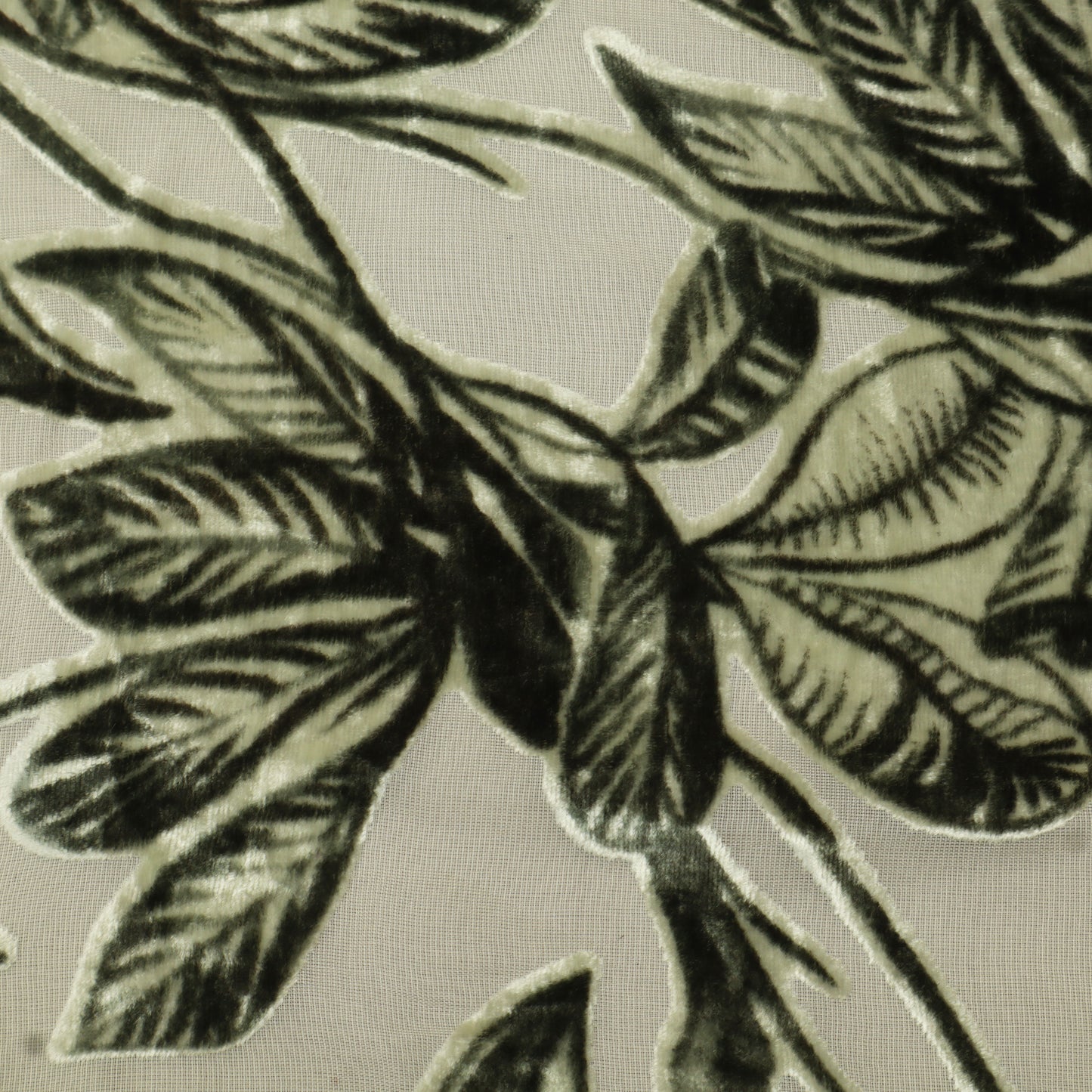 Brasso Velvet Textile Fabric