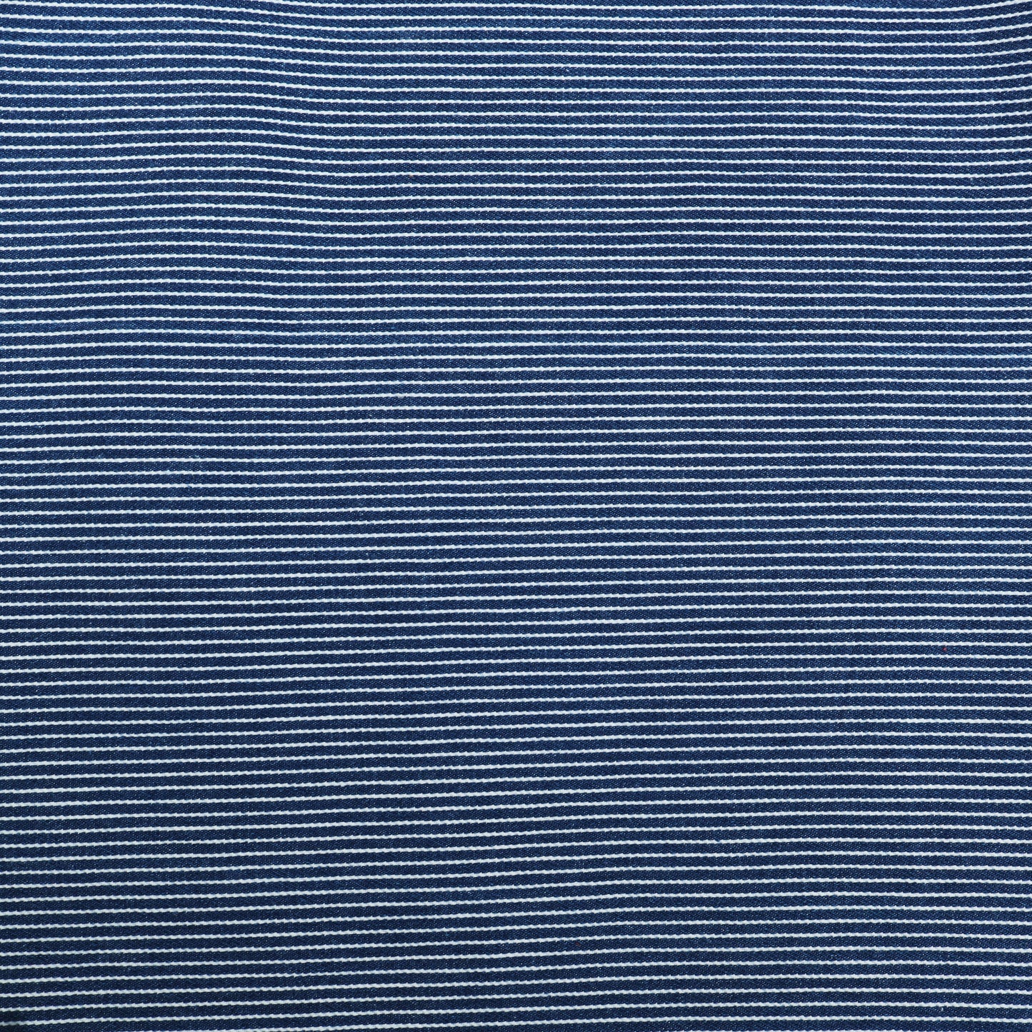 Cotrise Lycra Fabric