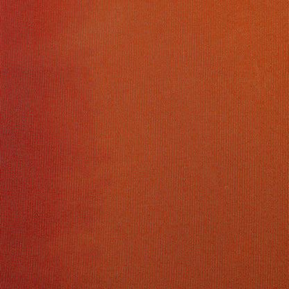 Shaded Tissue  Fabric (Cut Pieces 2Mtr)