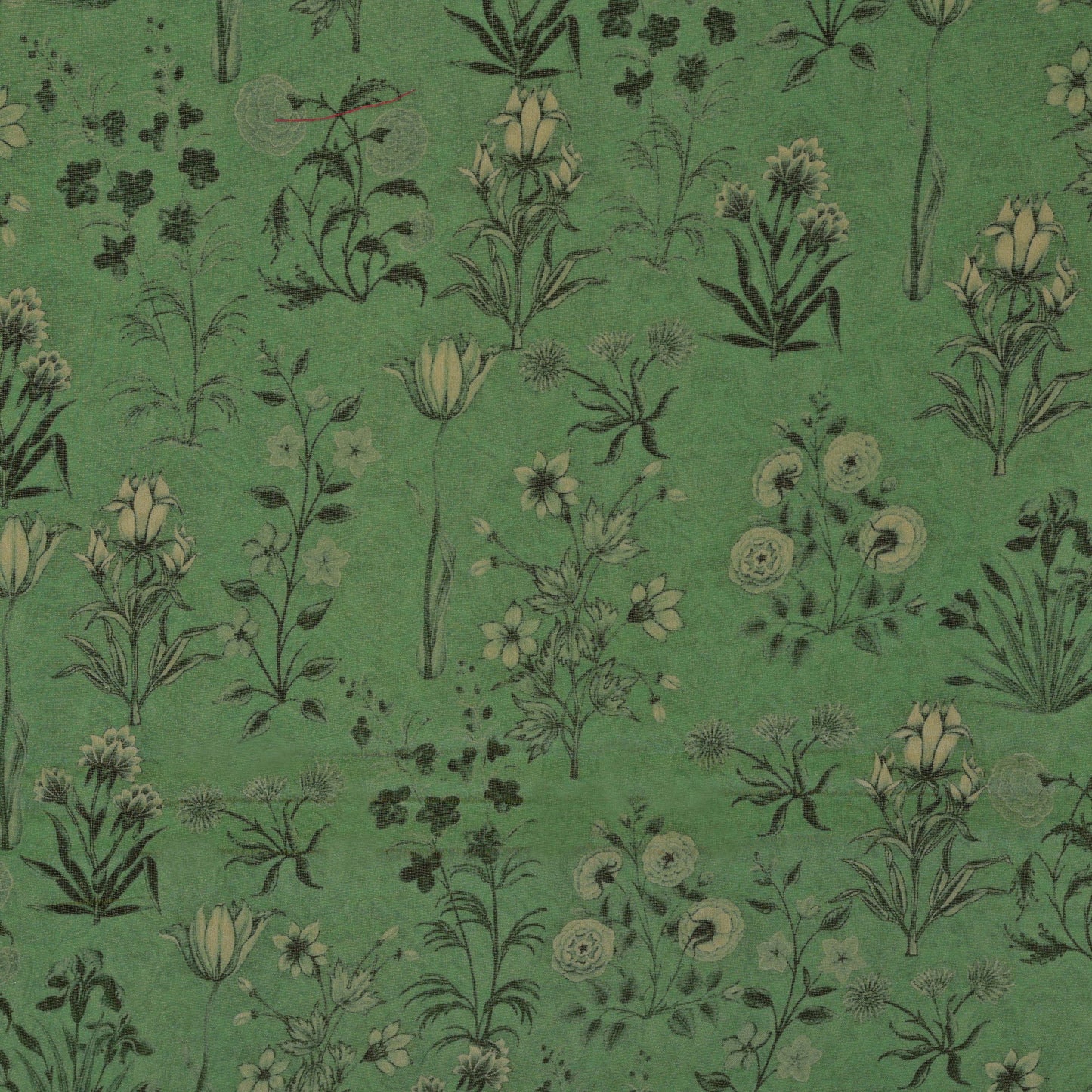 Georgette Tissue Print Fabric